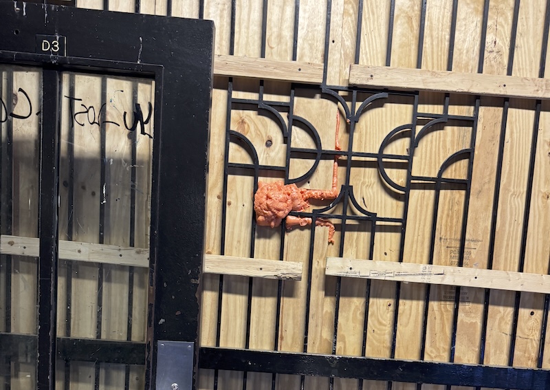 photo of dried up pinkish foam on the gate of a subway station and it looks like krang from teenage mutant ninja turtles