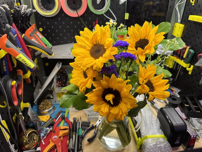 photo of a bouquet of sunflowers i got for andy, sitting in his workspace so they're surrounded by tools. one of the flowers has petals growing out of the center of it
