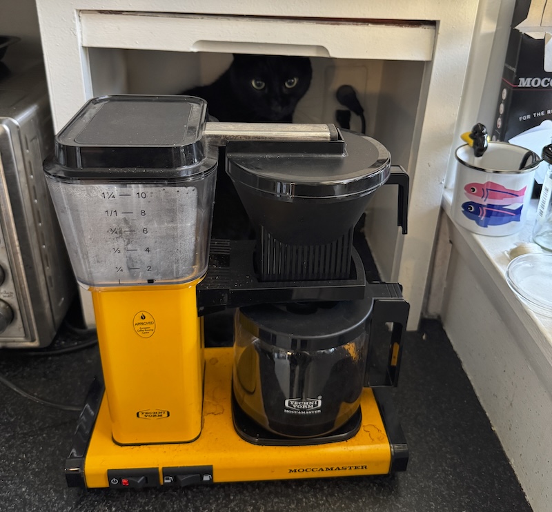 photo of the coffee corner of our kitchen, where our black cat pumagreg has sneaked behind the tonka-truck-yellow coffee maker into a built-in alcove that fits him just right and thinks i can't see him