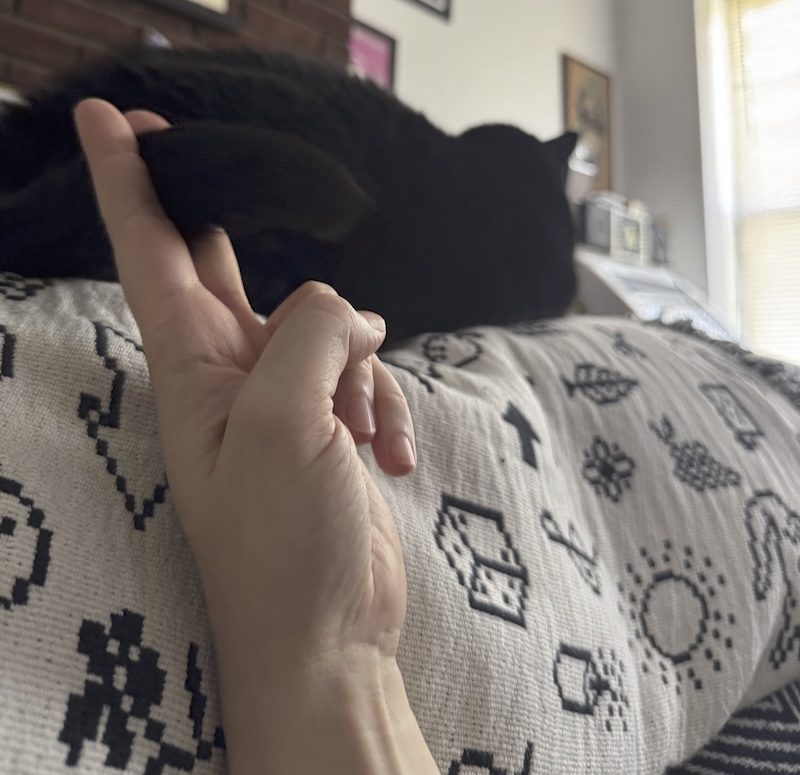 my hand holding pumagreg's tail like it's a cigarette