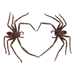 transparent png (no background) of two spiders positioned to make a heart with 2 of each of their front legs