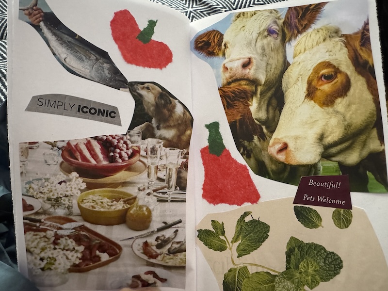 Photo of a book I bound and it’s open to a page that I’ve collaged a dog at a table of food kissing a dead fish. there are some cows and some mint, and some tissue paper tomatoes I haphazardly pasted. the magazine paper pasted text on the pages are “simply iconic” and “beautiful! pets welcome”