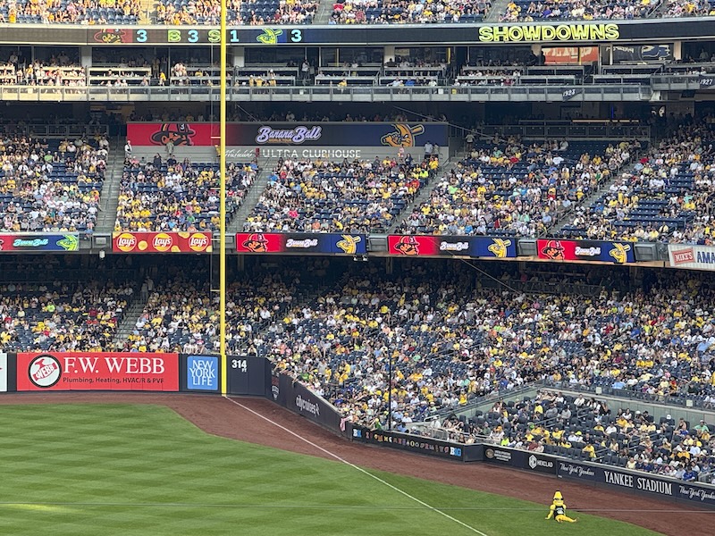 photo of a packed yankee stadium during a banana ball game and the savannah bananas mascot, split, is sitting alone on the green