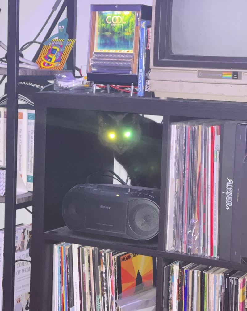 photo of my black cat pumagreg in a record shelf cubby hole and his eyes are glowing because my camera flash was on
