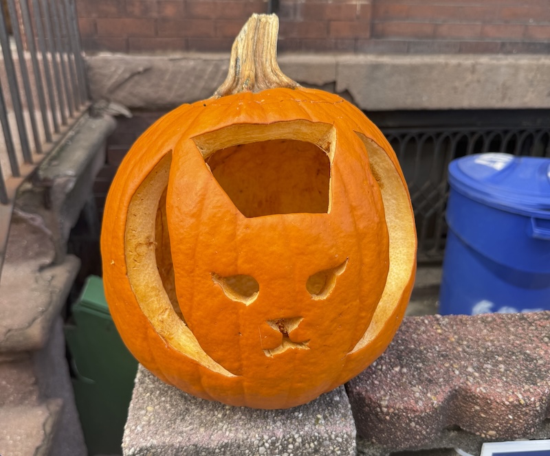 photo of a pumpkin outside that has a big eared cat carved into it