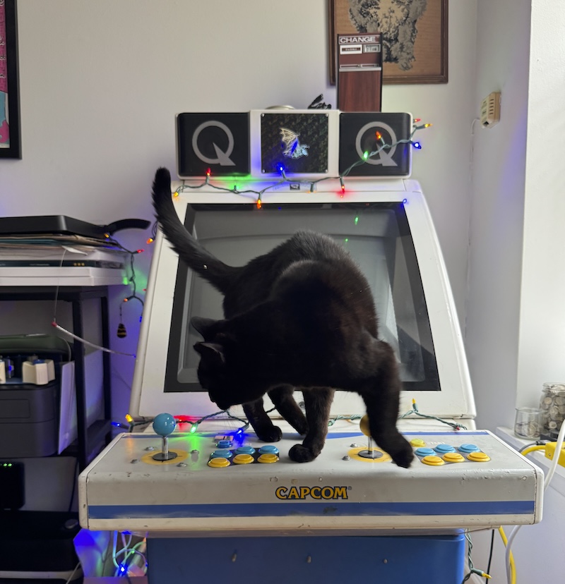 pumagreg about to jump off our arcade cabinet that's covered in colorful string lights