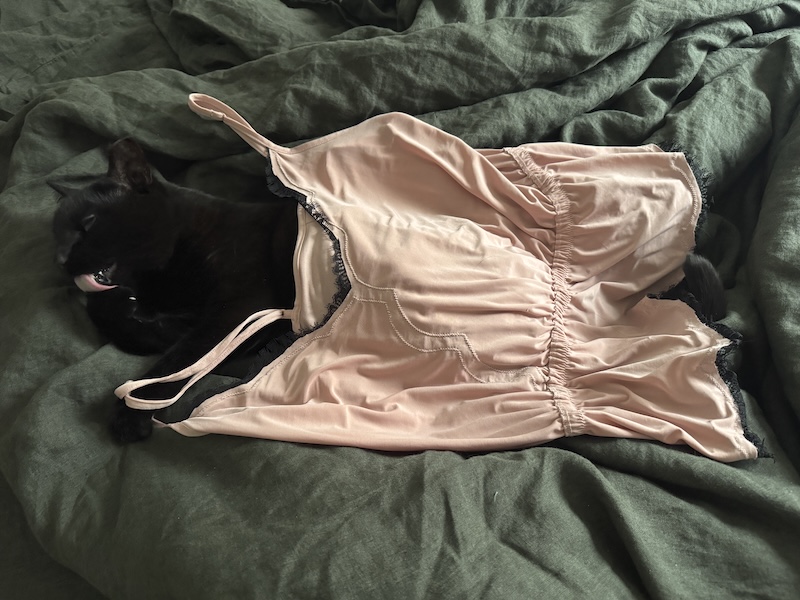 photo of pumagreg, my black cat, laying in our green-linen bedding licking his paws and i draped my pink satin pajama top over him so he looks like a cozy princess