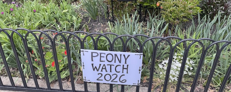 photo of a sign that says peony watch 2026 in a garden