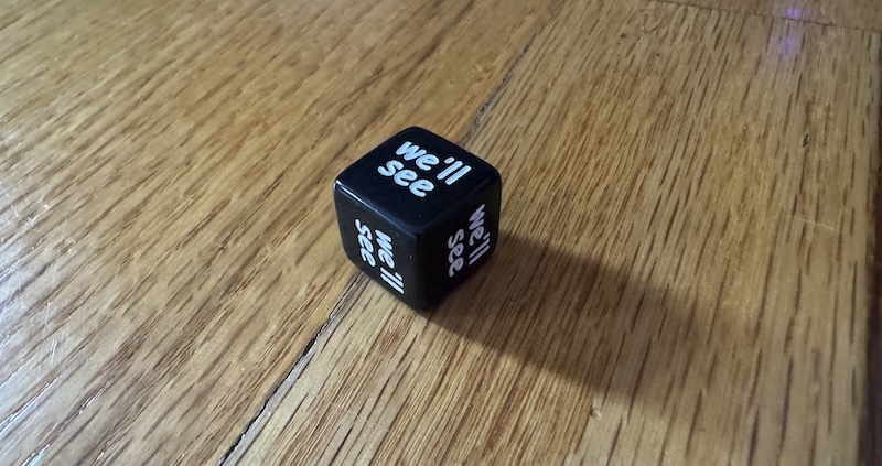 photo of a black 6-sided die on the floor, every said says "we'll see" in comic sans ms