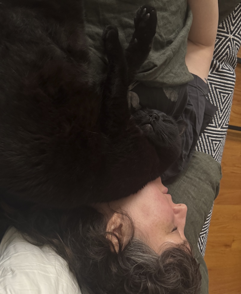 photo of me sleeping on the couch and my black cat pumagreg is sprawled out on me over my neck with his belly up over mine
