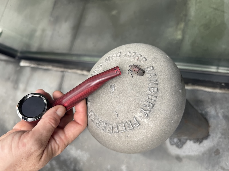 photo of a lantern fly in brooklyn about to hit a vape that looks like a wooden pipe being held up to it
