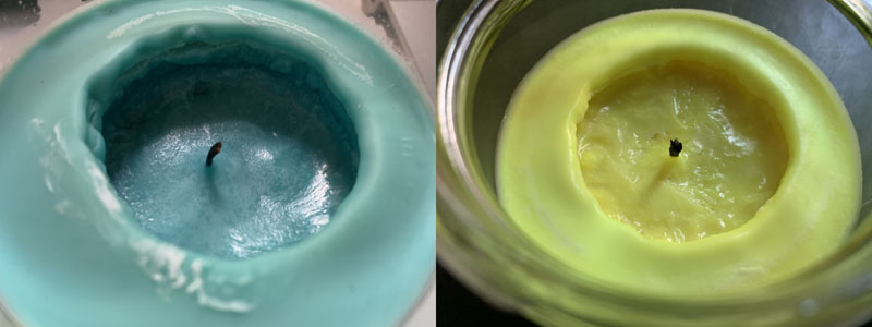 a diptych of the two candles, hardened after they were lit, and there was massive tunneling in the wax