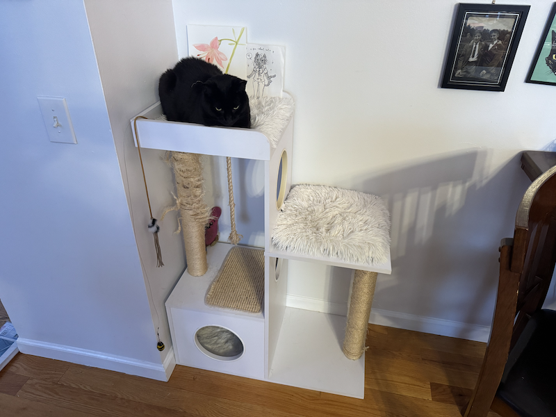 photo of pumagreg, my black cat, laying on the top level of his cat tree, which has one of two scratching posts freshing re-roped