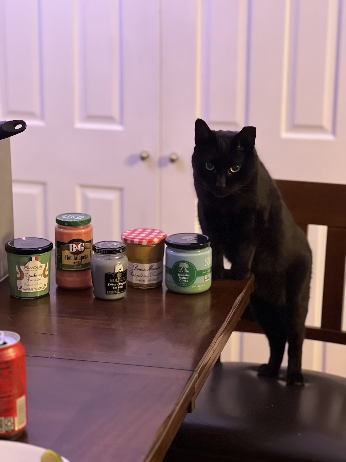 pumagreg posing next to some of my finished candles. his hind legs are standing on a chair and his front legs are standing on the table, he's standing like a regal gentleman