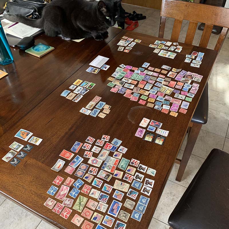 many stamps organized on a large brown table with a black cat looking confused