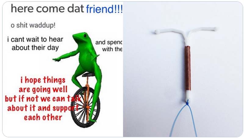 a diptych of a dat boi meme and iud
