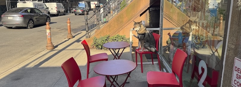 photo of a dog sitting at a table outside a coffee shop on 19th st in manhattan