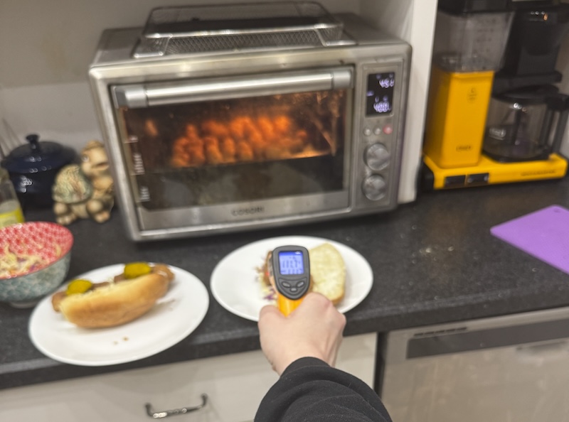 photo of me holding a thermometer gun up to my air fryer as i'm cooking fried tofu sandwiches and tater tots