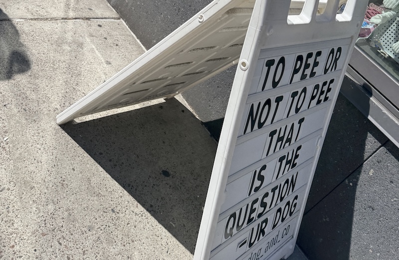 photo of a sandwich board in manhattan outside a pet shop that says "to pee or not to pee that is the question. - ur dog"
