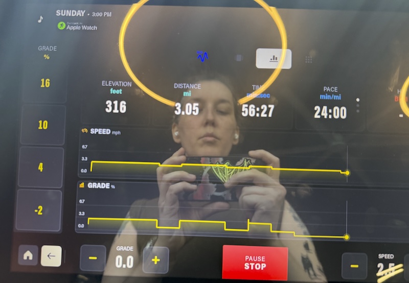 photo of my gym's fancy treadmill and you see me taking the photo in the reflection. i walked on a slight incline for an hour at mostly a 3.5 mph pace