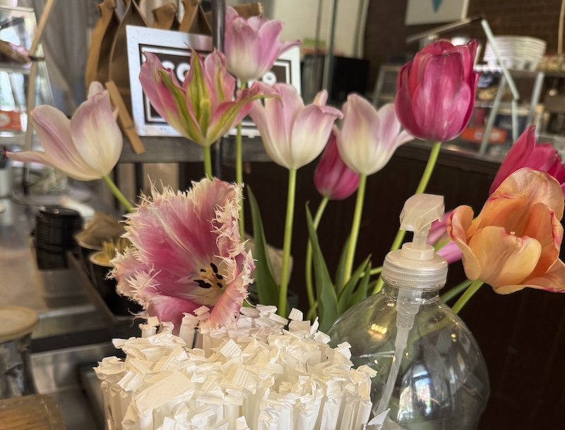photo of a bouquet of flowers at my coffee shop and one of the flowers is a fringed tulip