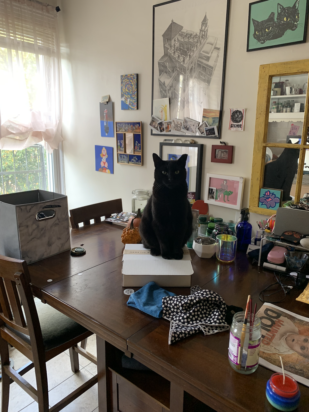 photo of a black cat sitting on a small box on the kitchen table