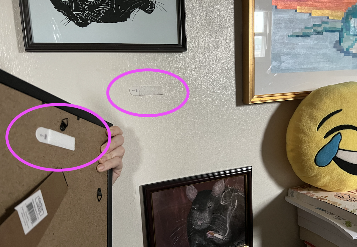 photo of art on my walls i am holding a frame, showing the back having a command strip and the wall having the other half of the velcro strip. i circled both of them to call attention to them.