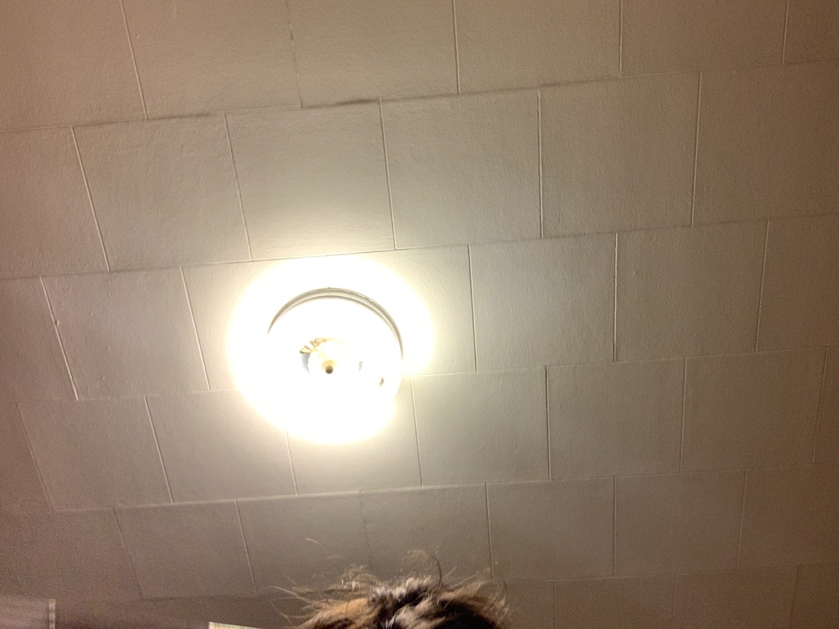 photo of my kitchen ceiling light and the very tip of my messy bun, taken by my phone as it was falling mid-shot