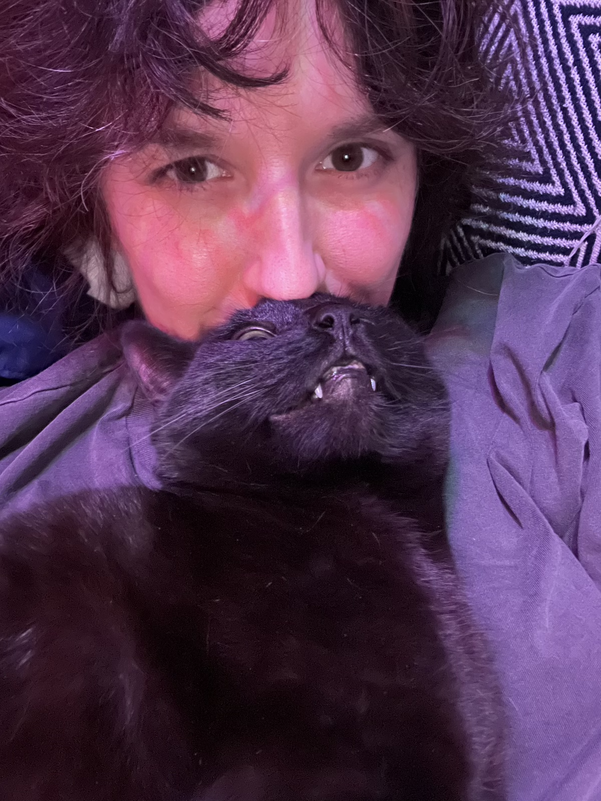 photo of our black cat pumagreg laying on me and he's blocking the bottom third of my cute face with his cute face and toothy grin