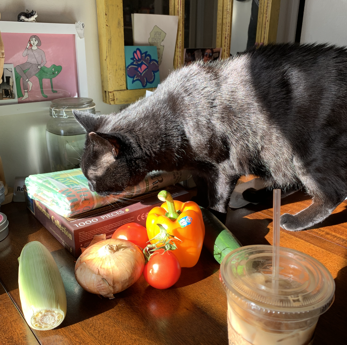 photo of pumagreg inspecting the things on my table, particularly my vegetables