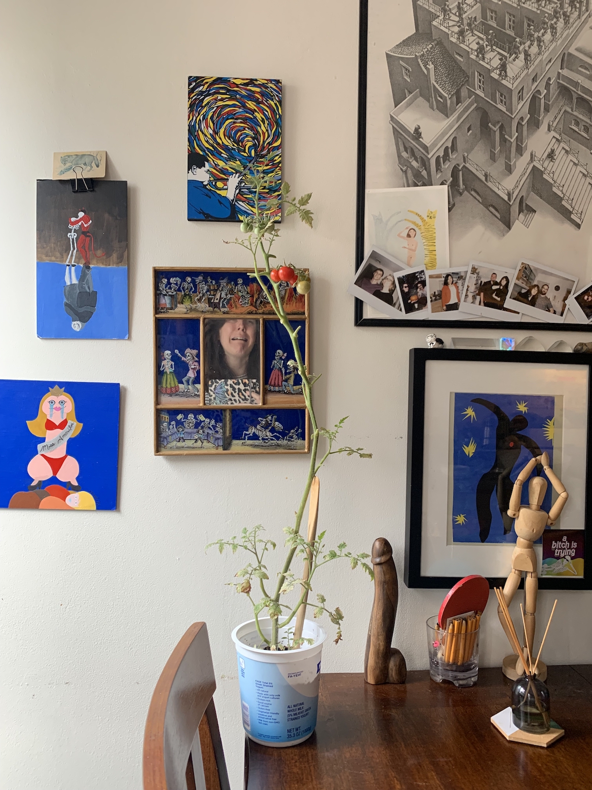 photograph of a tall tomato plant on a kitchen table, with cool art on the wall and my reflection where i'm looking like i'm sobbing